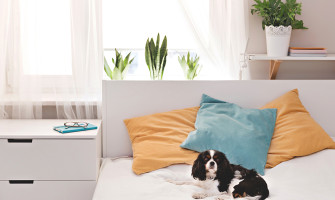 Διακόσμηση – πώς το Φενγκ Σούι Δημιουργεί Χαλαρωτική Ατμόσφαιρα στο Υπνοδωμάτιο