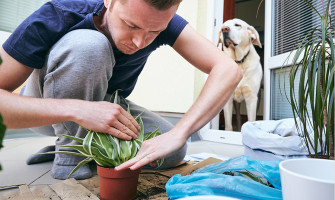 Με ποιά λουλούδια μπορείς να διακοσμήσεις τη βεράντα σου